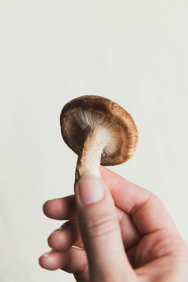 Mushrooms